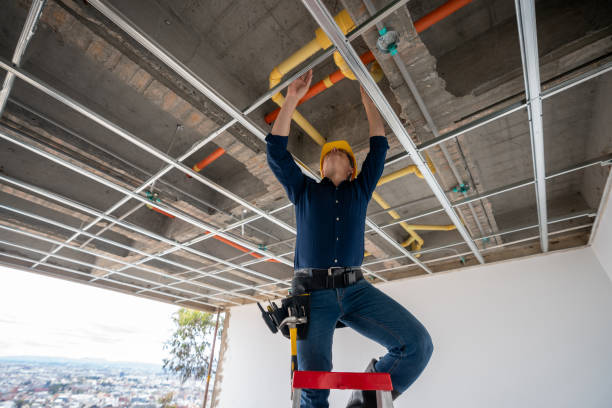 Best Local Plumber Services  in Frankton, IN