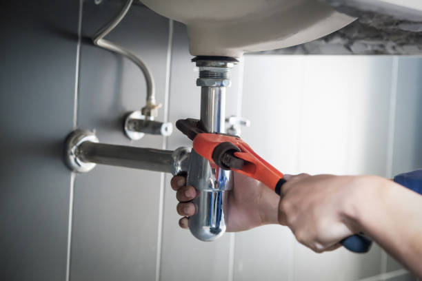 Best Residential Plumbing Services  in Frankton, IN