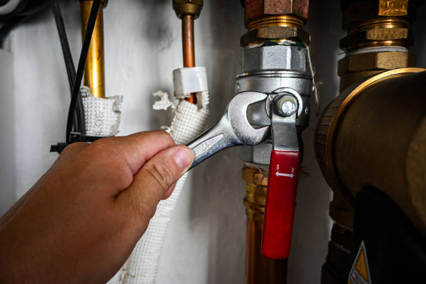 Best Emergency Plumbing Repair  in Frankton, IN